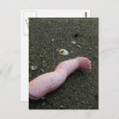 ビーチ汚染壊れた砂上の人形の脚 ポストカード (正面/裏面)