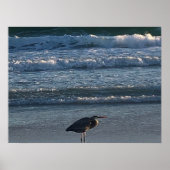 ビーチ波 ポスター (正面)