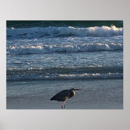 ビーチ波 ポスター