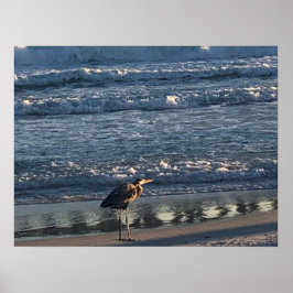 ビーチ波 ポスター