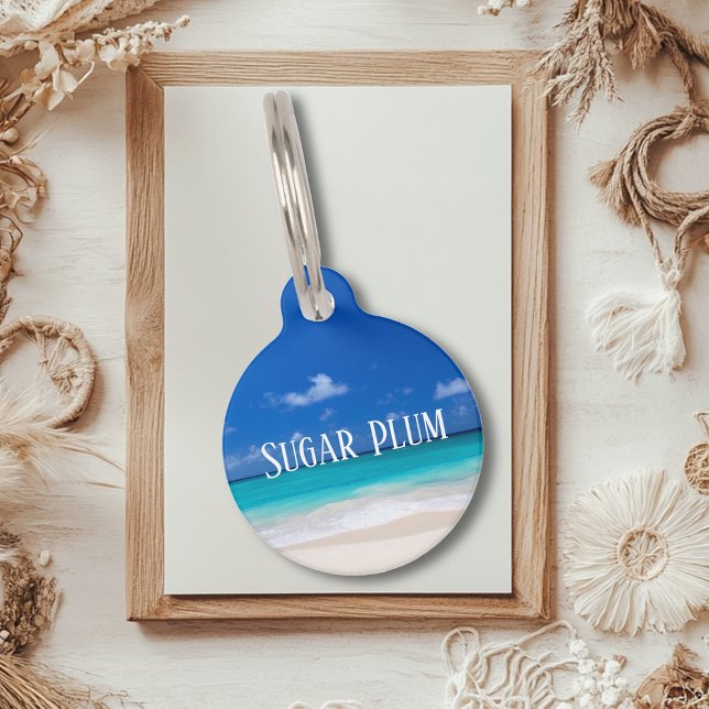 ビーチ海ペットドッグ失った猫Id ペット　ネームタグ (クリエイターアップロード済み)