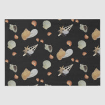 ビーチ海夏の切り離し航海の沿岸