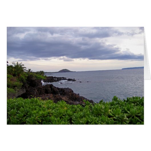 ビーチ海岸線 (正面横)