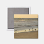 ビーチ灯鳥日の出の海写真 マグネット (正面/裏面)