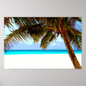 ビーチ熱帯 ポスター (正面)