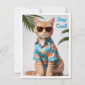 ビーチ猫サングラスのグリーティングカード 招待状 (正面)