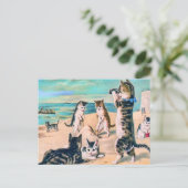 ビーチ猫 ポストカード (スタンド正面)