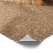 ビーチ玩具 ポスター (角)