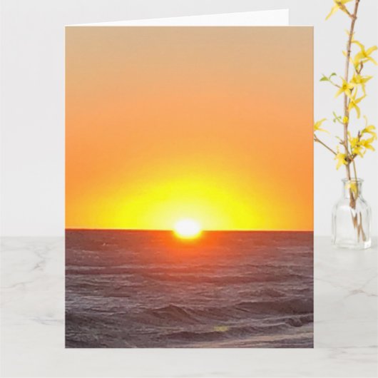 ビーチ発表葉書 カード (黄色い花)