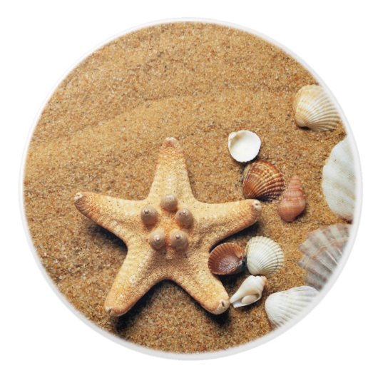 ビーチ砂のシェル描画つまみセラミックのプル セラミックノブ (正面)