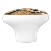 ビーチ砂のシェル描画つまみセラミックのプル セラミックノブ (側面)