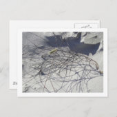 ビーチ破片 ポストカード (正面/裏面)