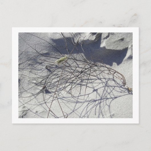 ビーチ破片 ポストカード (正面)