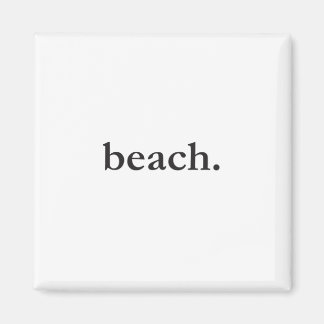 ビーチ磁石 マグネット