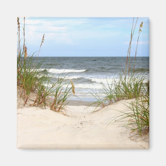 ビーチ磁石 マグネット (正面)