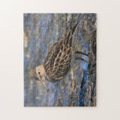 ビーチ素晴らし上の胸の砂吹海岸の鳥 ジグソーパズル (縦)