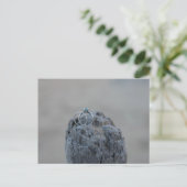 ビーチ結婚に響く ポストカード (スタンド正面)