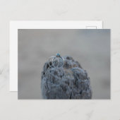 ビーチ結婚に響く ポストカード (正面/裏面)