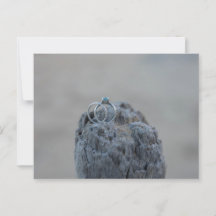 ビーチ結婚に響く