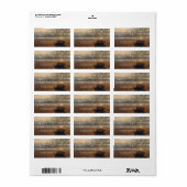 ビーチ結婚式サンセットシーシェルラベル ラベル (フルシート)