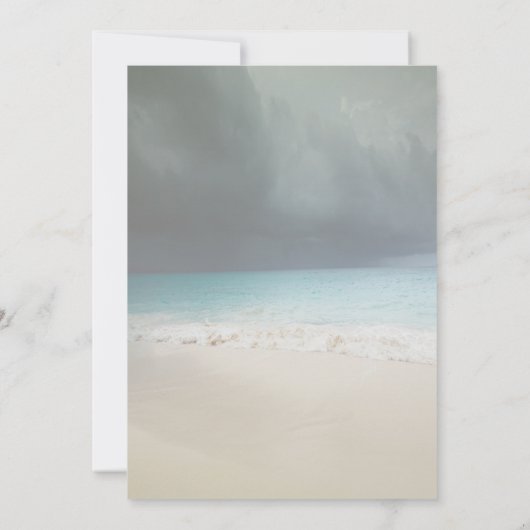 ビーチ結婚式ストリングライツシースターブライダルシャワー 招待状 (裏面)