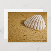 ビーチ結婚式トロピカルRSVP招待状 インビテーションポストカード (正面/裏面)