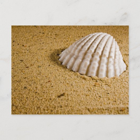 ビーチ結婚式トロピカルRSVP招待状 インビテーションポストカード (正面)