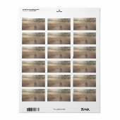 ビーチ結婚式、サンセットシーシェルの文字列のライトラベル ラベル (フルシート)