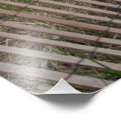 ビーチ縁ど フォトプリント            (角)