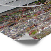 ビーチ自転車 ポスター (角)