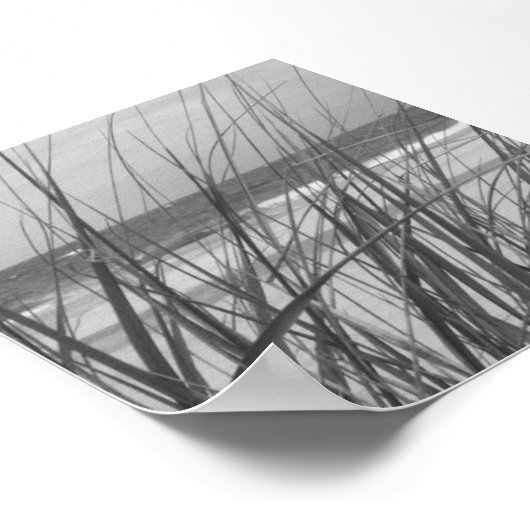 ビーチ草 ポスター (角)