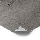 ビーチ草 ポスター (角)