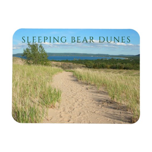 ビーチ草、砂、眠っているクマのトレイル、ミシガン州 マグネット (横)