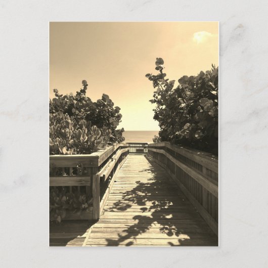 ビーチ葉書で ポストカード (正面)