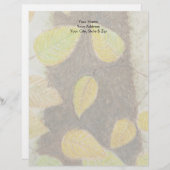 ビーチ葉 レターヘッド (正面/裏面)