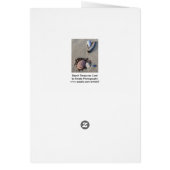 ビーチ財宝カード (裏面)