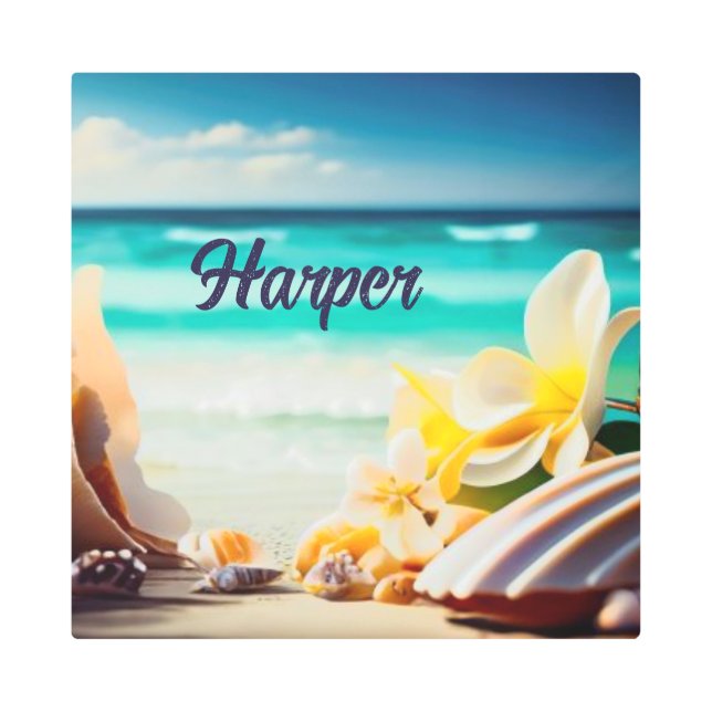 ビーチ財宝 メタルプリント (正面)