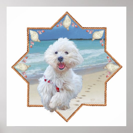 ビーチ走 ポスター (正面)