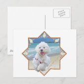 ビーチ走 ポストカード (正面/裏面)