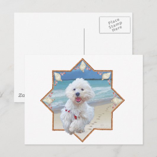 ビーチ走 ポストカード (正面/裏面)