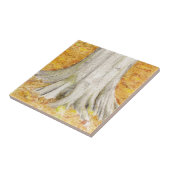 ビーチ足 タイル (側面)