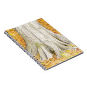 ビーチ足 ノートブック (右側)