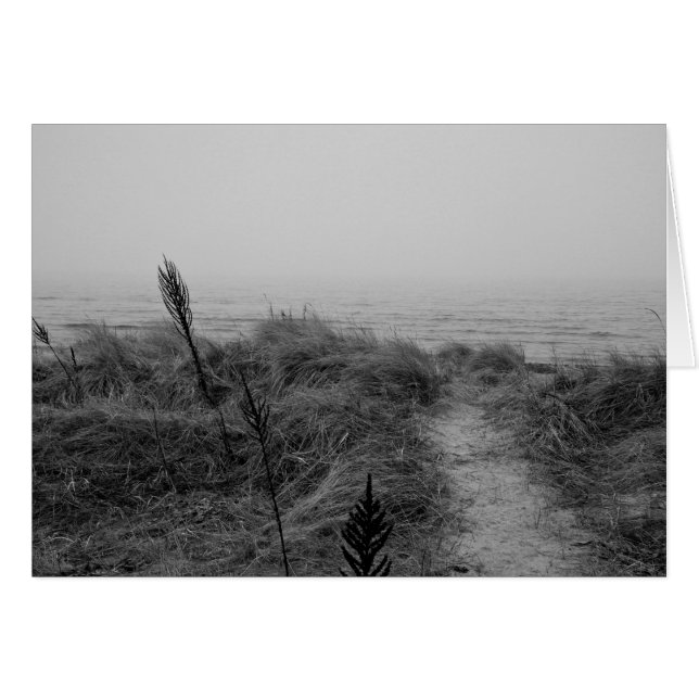 ビーチ路 (正面横)