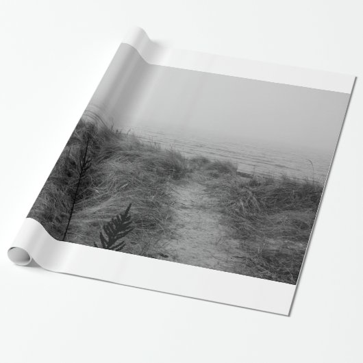 ビーチ路 ラッピングペーパー (アンロールド)