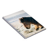 ビーチ近くの草の上に座る茶色の馬 ノートブック (右側)