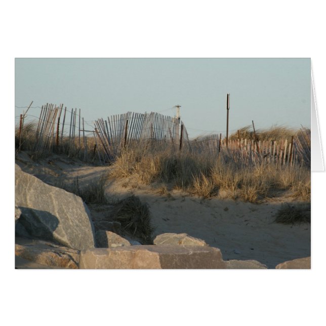 ビーチ道 (正面横)