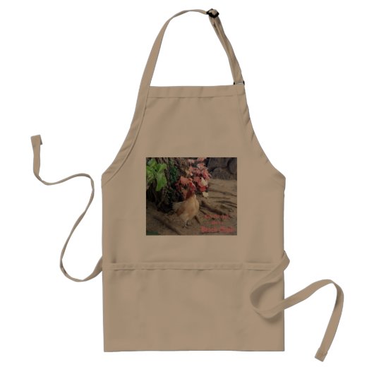 ビーチ雛 スタンダードエプロン (正面)