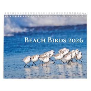 ビーチ鳥の写真2025 カレンダー