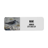 ビーチ鳥自然フォトグレー沿岸動物 ラベル (正面)