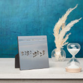 ビーチ鳥類海波野生生物海岸自然 フォトプラーク (インサイチュ)